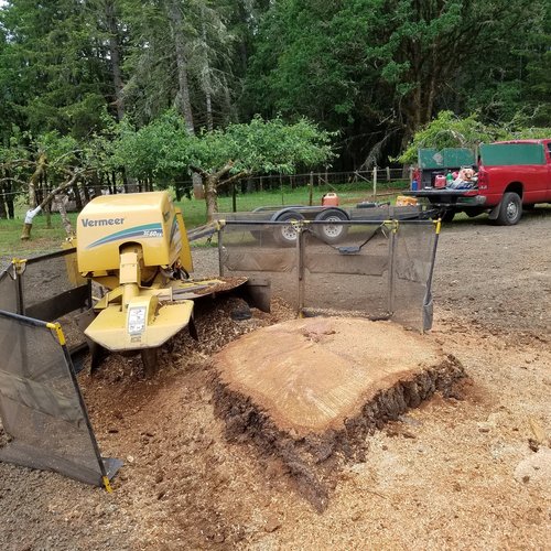 Stump Grinding with All Pro Tree Services